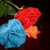 Image with missing alt attribute found on enspyre1.blogspot.com