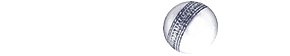 Image with missing alt attribute found on willow.tv