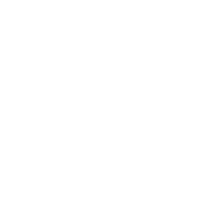 guardian-pro-logo