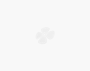 首充福利