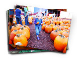 Image with missing alt attribute found on shutterfly.com