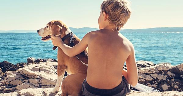 Urlaub mit Hund