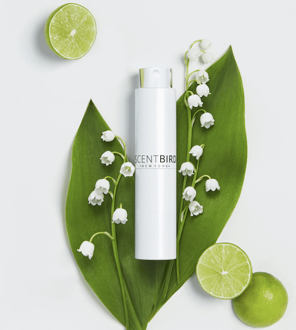 Image with missing alt attribute found on scentbird.com