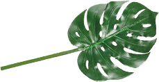 Image with missing alt attribute found on worldsuperstorez.com