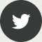 Visit our page on Twitter