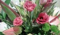 Flowers (61)