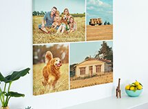Canvas Collages