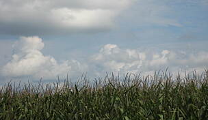 Image with missing alt attribute found on traillink.com