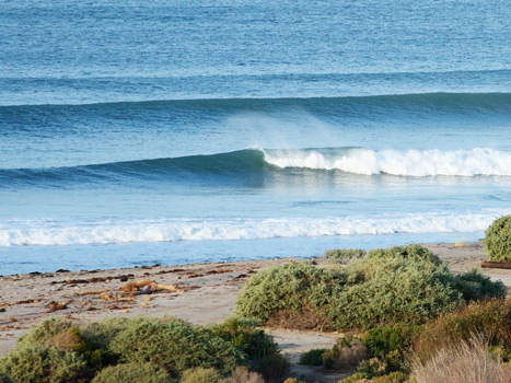 Image with missing alt attribute found on surfrider.org