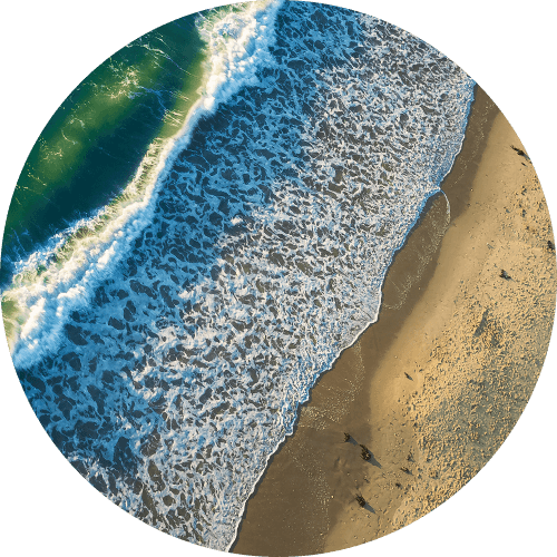 Image with missing alt attribute found on surfrider.org