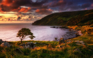 Image with missing alt attribute found on ireland.com