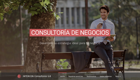 Plantilla - Consultor&iacute;a de Negocios
