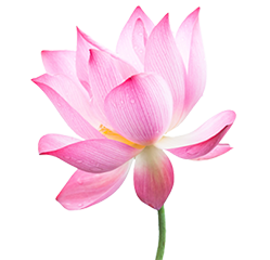Image with missing alt attribute found on abmp.com