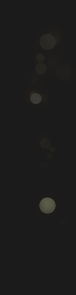 Image with missing alt attribute found on 56.com