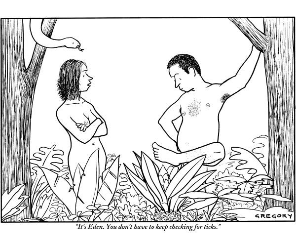 Image with missing alt attribute found on cartooncollections.com