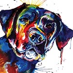 Dogs