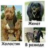 Холостяк, женат, в разводе.