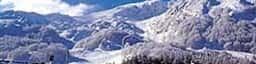 Image with missing alt attribute found on localidautore.it