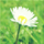 Image with missing alt attribute found on jxedt.com