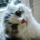 Image with missing alt attribute found on jxedt.com