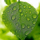 Image with missing alt attribute found on jxedt.com
