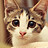 Image with missing alt attribute found on biomart.cn