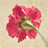 Image with missing alt attribute found on biomart.cn
