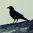 Image with missing alt attribute found on biomart.cn