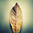 Image with missing alt attribute found on biomart.cn