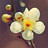 Image with missing alt attribute found on biomart.cn