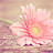 Image with missing alt attribute found on biomart.cn