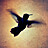 Image with missing alt attribute found on biomart.cn