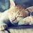 Image with missing alt attribute found on biomart.cn