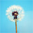 Image with missing alt attribute found on biomart.cn