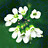 Image with missing alt attribute found on biomart.cn