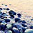 Image with missing alt attribute found on biomart.cn