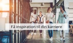 Image with missing alt attribute found on studentum.dk