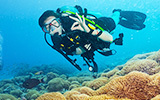 Image with missing alt attribute found on zuzuche.com