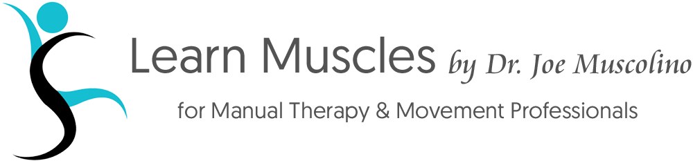 Massage Therapy Online Continuing Education
