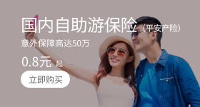 国内自助游保险