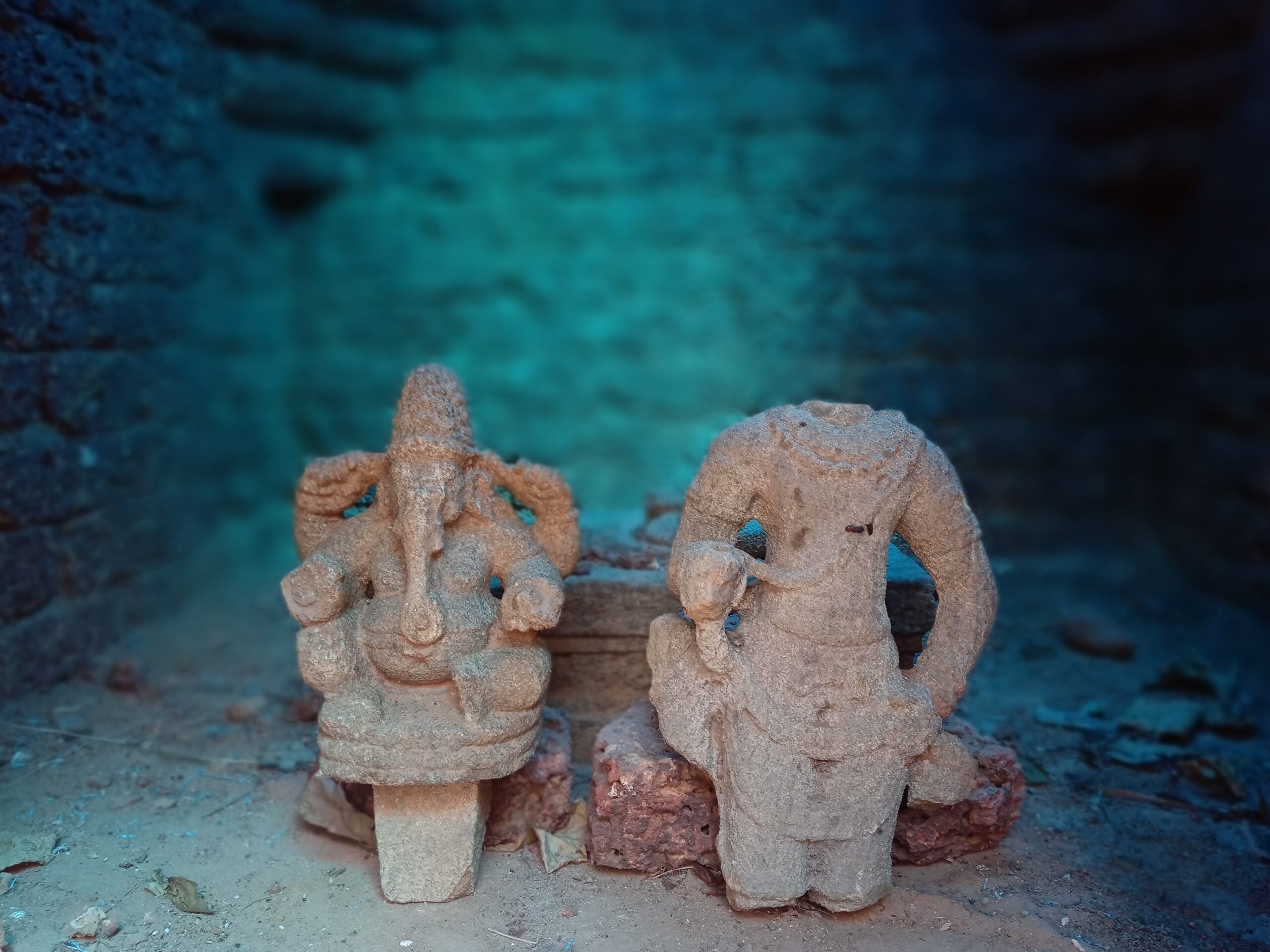 Image with missing alt attribute found on reclaimtemples.com