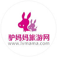 Image with missing alt attribute found on sensorsdata.cn