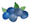 Blaubeere