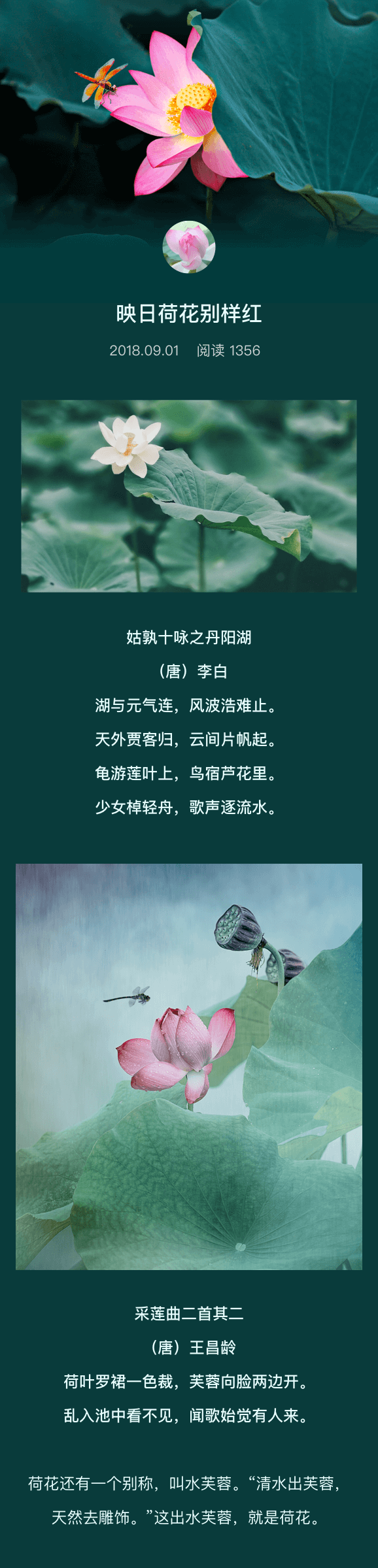 Image with missing alt attribute found on meipian.cn