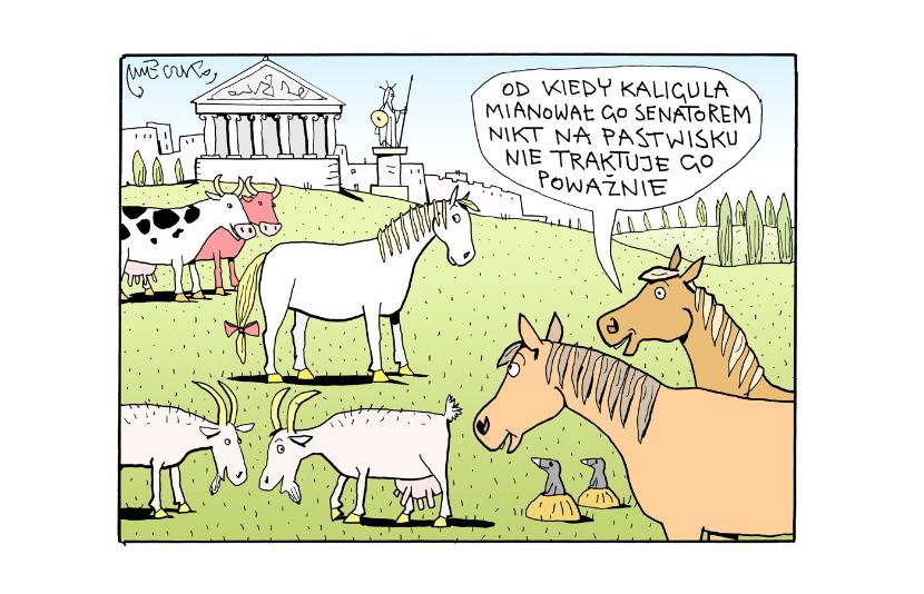 Image with missing alt attribute found on polityka.pl