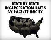 Image with missing alt attribute found on prisonpolicy.org