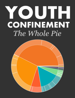 youth confinement report thumbnail