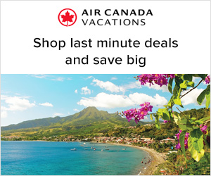 Image with missing alt attribute found on rakuten.ca