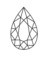 Image with missing alt attribute found on gemvara.com