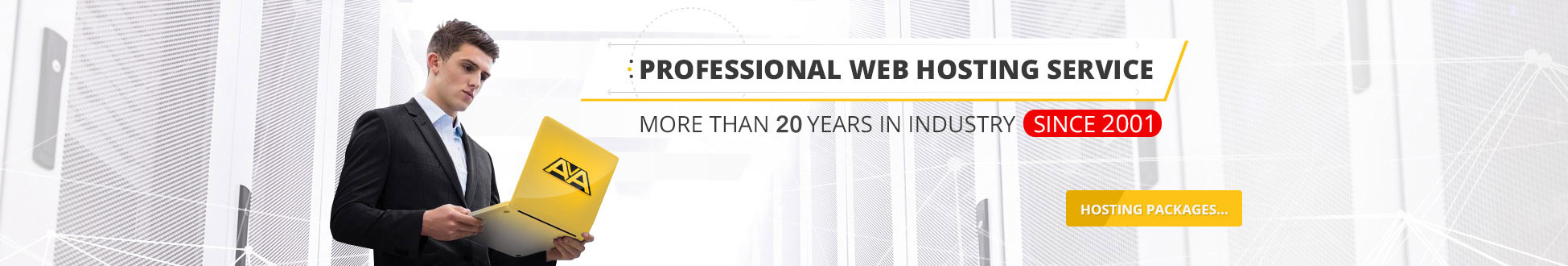 Website Hosting